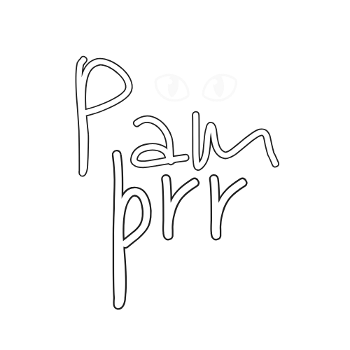 Logo PAM PRR